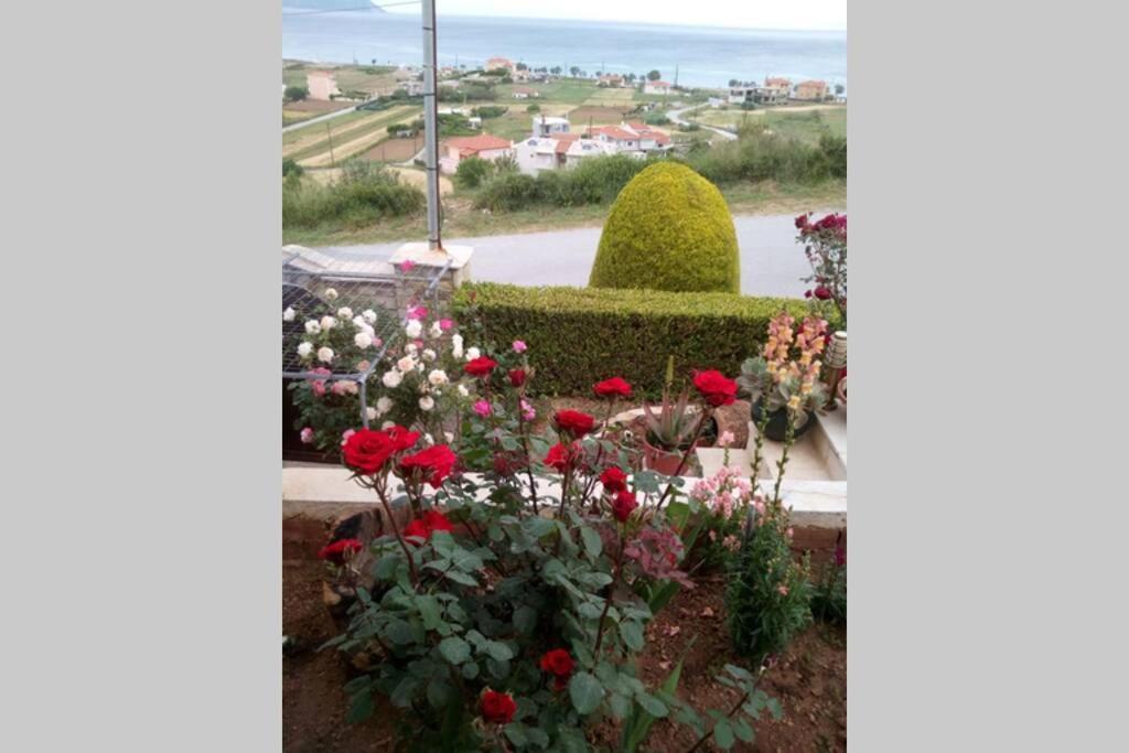 villa roses-mourteri Esterno foto