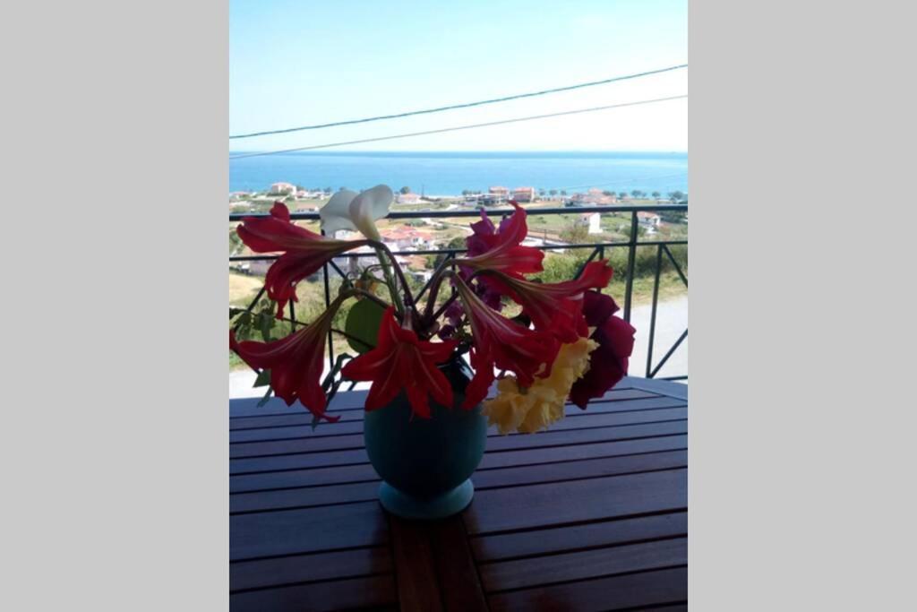 villa roses-mourteri Esterno foto